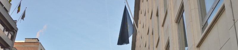 Laset EU-flag DSC_0080 (2) (800x169)